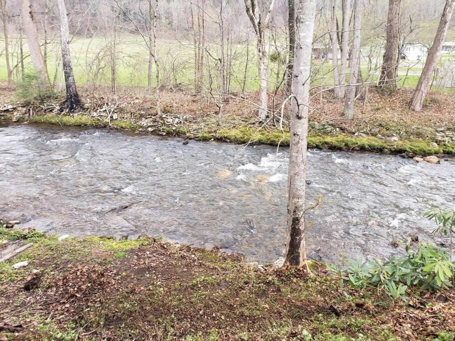J.Creek Retreat, Creekside Townhouse +1 Car Garage Βίλα Maggie Valley Εξωτερικό φωτογραφία
