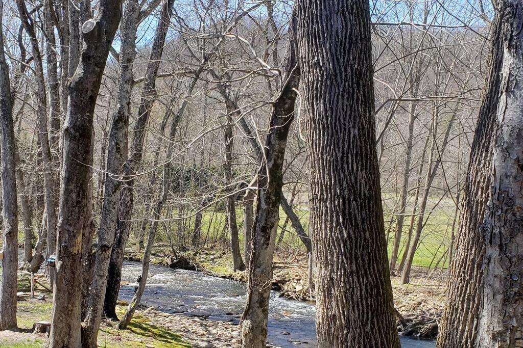 J.Creek Retreat, Creekside Townhouse +1 Car Garage Βίλα Maggie Valley Εξωτερικό φωτογραφία