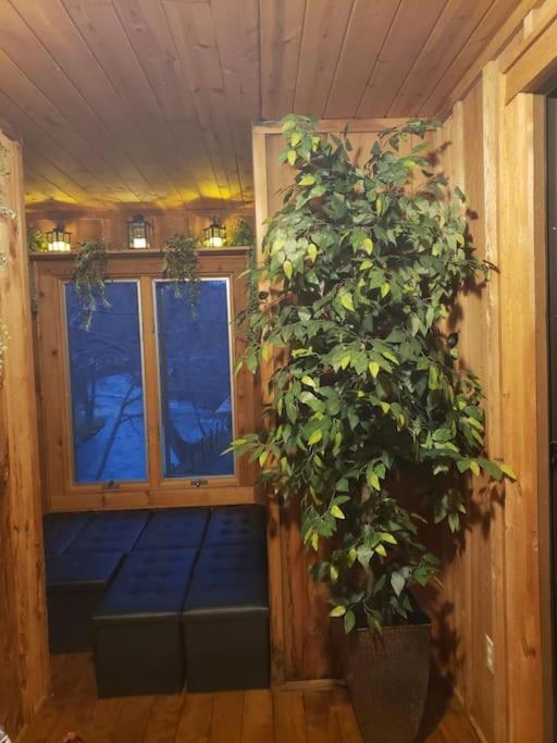 J.Creek Retreat, Creekside Townhouse +1 Car Garage Βίλα Maggie Valley Εξωτερικό φωτογραφία