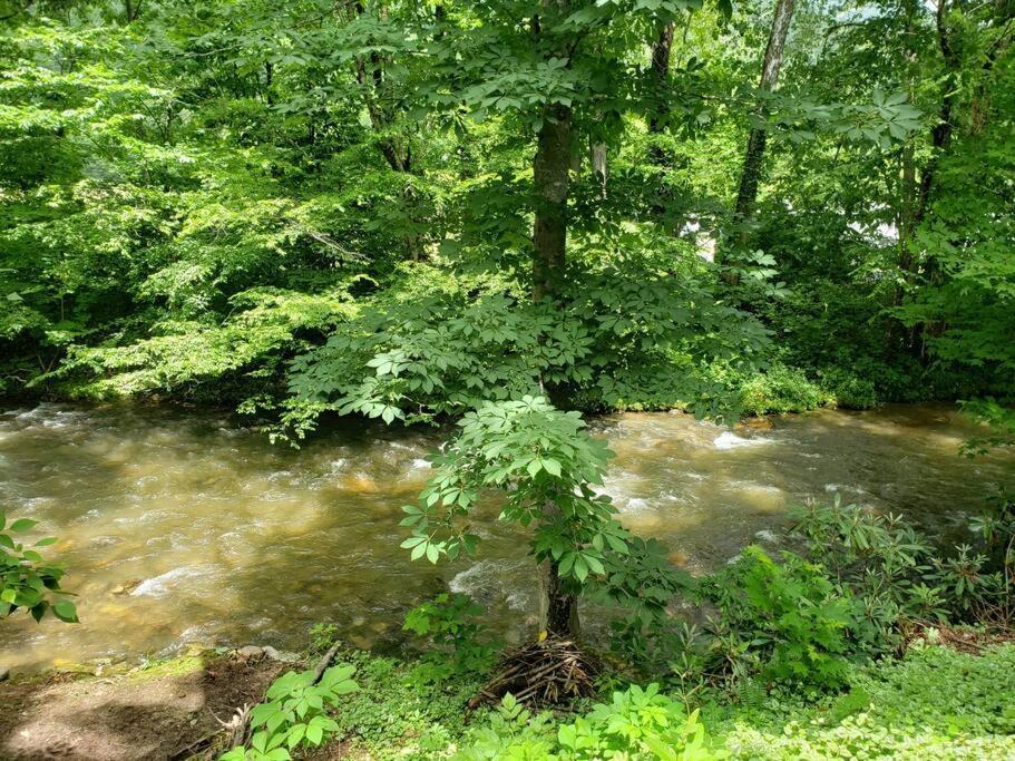 J.Creek Retreat, Creekside Townhouse +1 Car Garage Βίλα Maggie Valley Εξωτερικό φωτογραφία