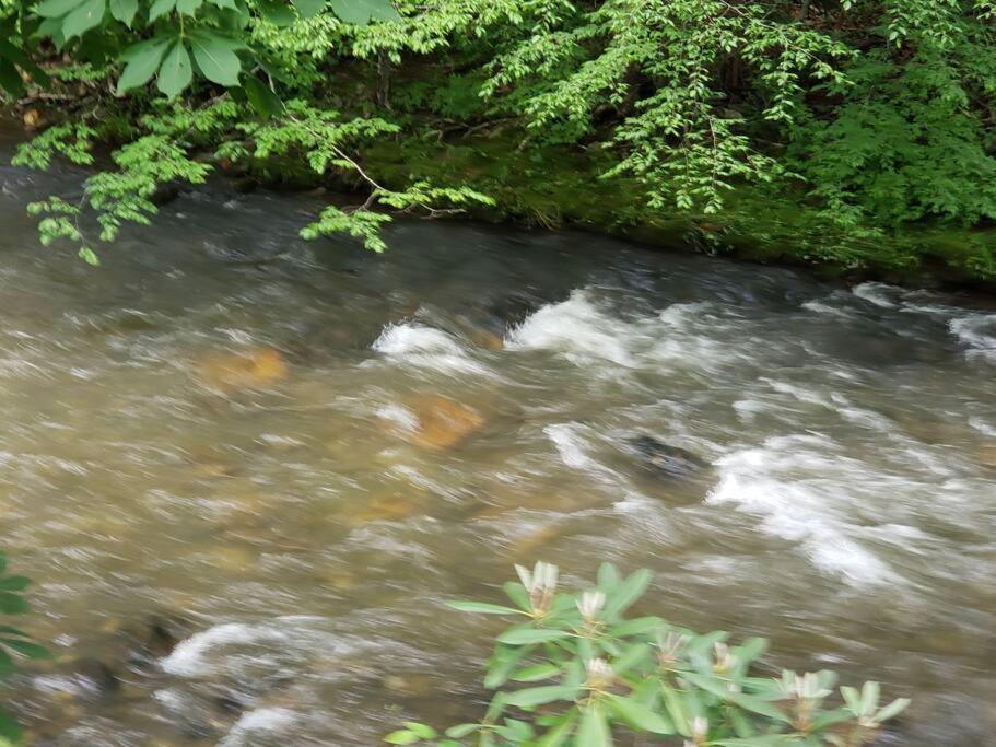 J.Creek Retreat, Creekside Townhouse +1 Car Garage Βίλα Maggie Valley Εξωτερικό φωτογραφία